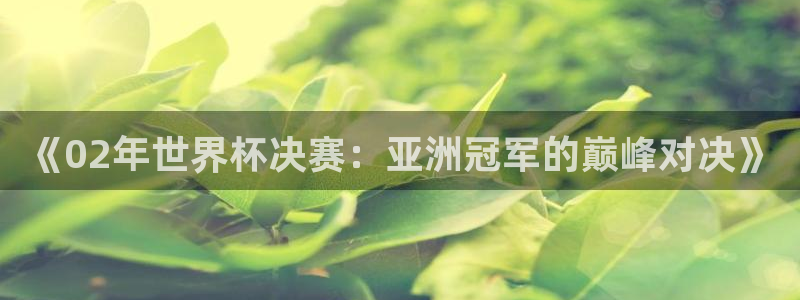 2026年世界杯赛程时间表格：《02年世界杯决赛：亚洲冠军的巅峰对决》