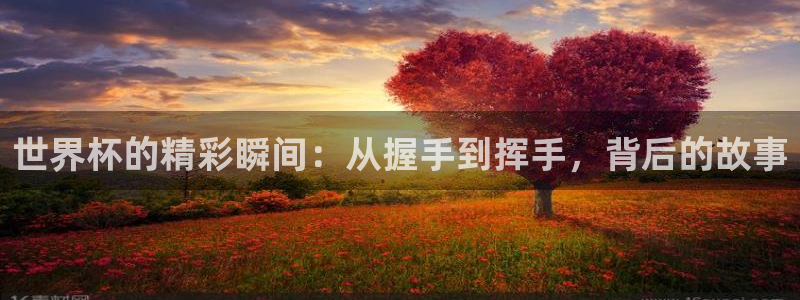 世界杯亚洲区预选赛：世界杯的精彩瞬间：从握手到挥手，背后的故事
