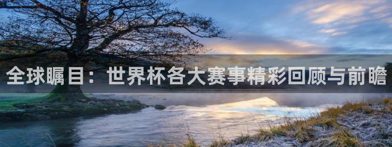 2006年世界杯冠军：全球瞩目：世界杯各大赛事精彩回顾与前瞻