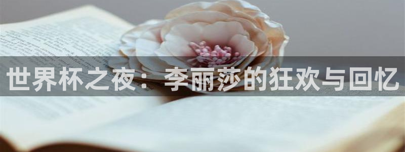 世界杯欧洲区赛程：世界杯之夜：李丽莎的狂欢与回忆