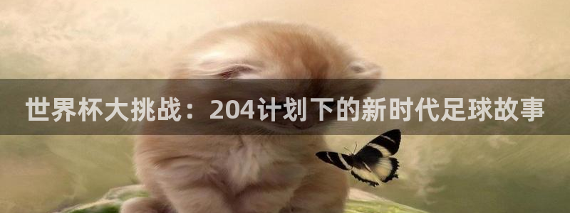 世界杯：世界杯大挑战：204计划下的新时代足球故事