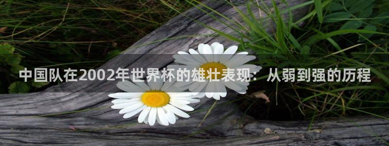 26世界杯：中国队在2002年世界杯的雄壮表现：从弱到强的历程