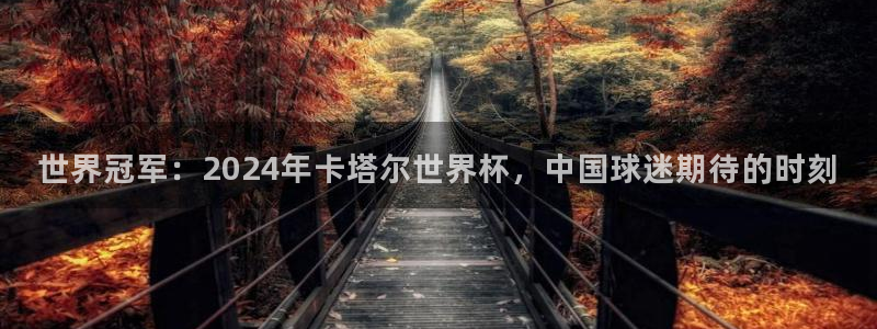 2026世界杯赛制：世界冠军：2024年卡塔尔世界杯，中国球迷期待的时刻