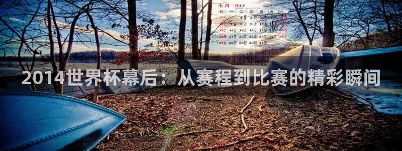 世界杯48支球队赛制：2014世界杯幕后：从赛程到比赛的精彩瞬间