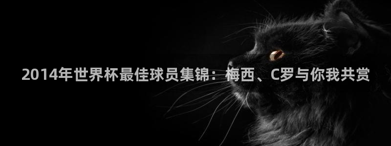 2026世界杯：2014年世界杯最佳球员集锦：梅西、C罗与你我共赏