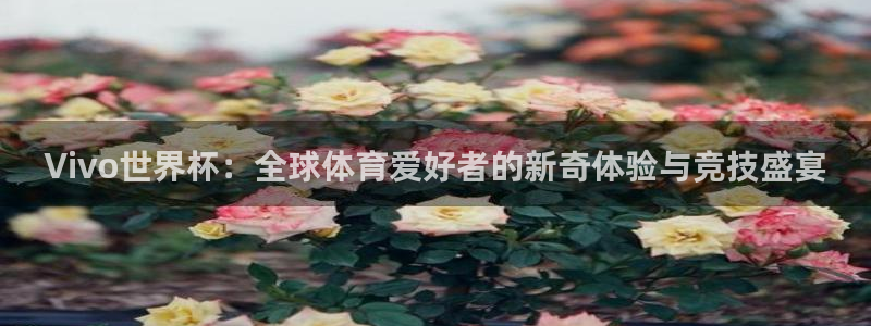 2026 世界杯：Vivo世界杯：全球体育爱好者的新奇体验与竞技盛宴