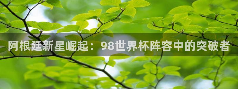 世界杯附加赛赛程表：阿根廷新星崛起：98世界杯阵容中的突破者