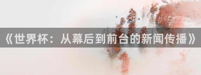 世界杯足球：《世界杯：从幕后到前台的新闻传播》