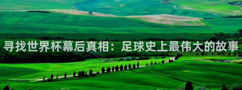 2026世界杯直播免费观看：寻找世界杯幕后真相：足球史上最伟大的故事