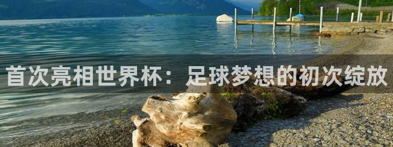 法国杯2026赛程表：首次亮相世界杯：足球梦想的初次绽放
