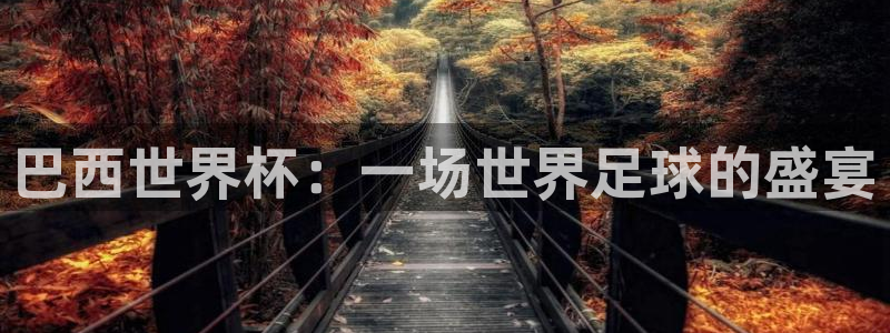 世界杯预选赛亚洲：巴西世界杯：一场世界足球的盛宴