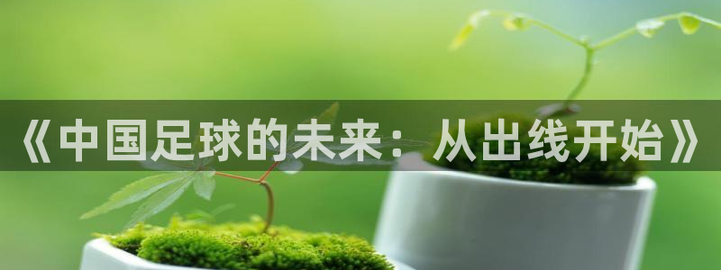 女足世界杯赛程：《中国足球的未来：从出线开始》